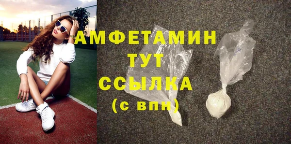 сатива Верея