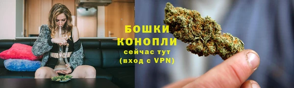 сатива Верея