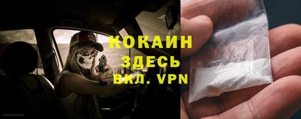сатива Верея