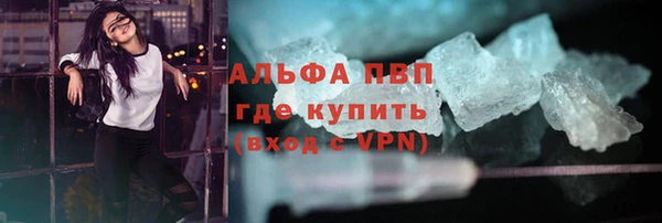 сатива Верея