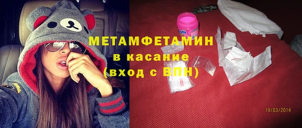 сатива Верея