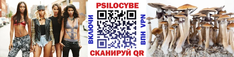 продажа наркотиков  Гаврилов-Ям  Псилоцибиновые грибы Psilocybine cubensis 